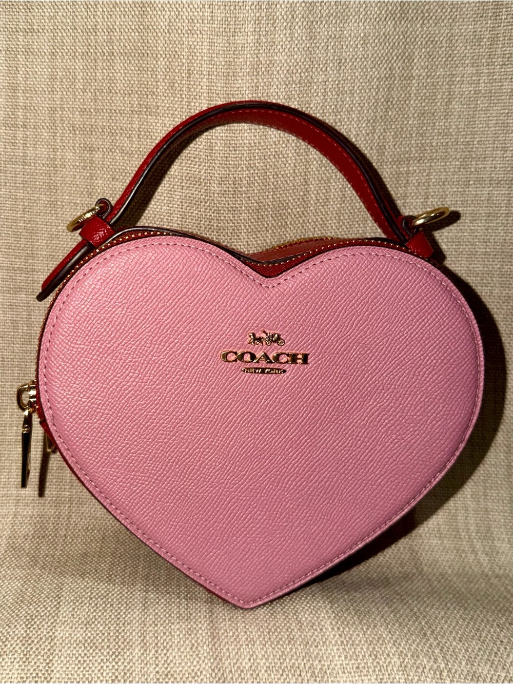 Coach Heart Crossbody In Signature Canvas with Heart Cherry Print Colorblock